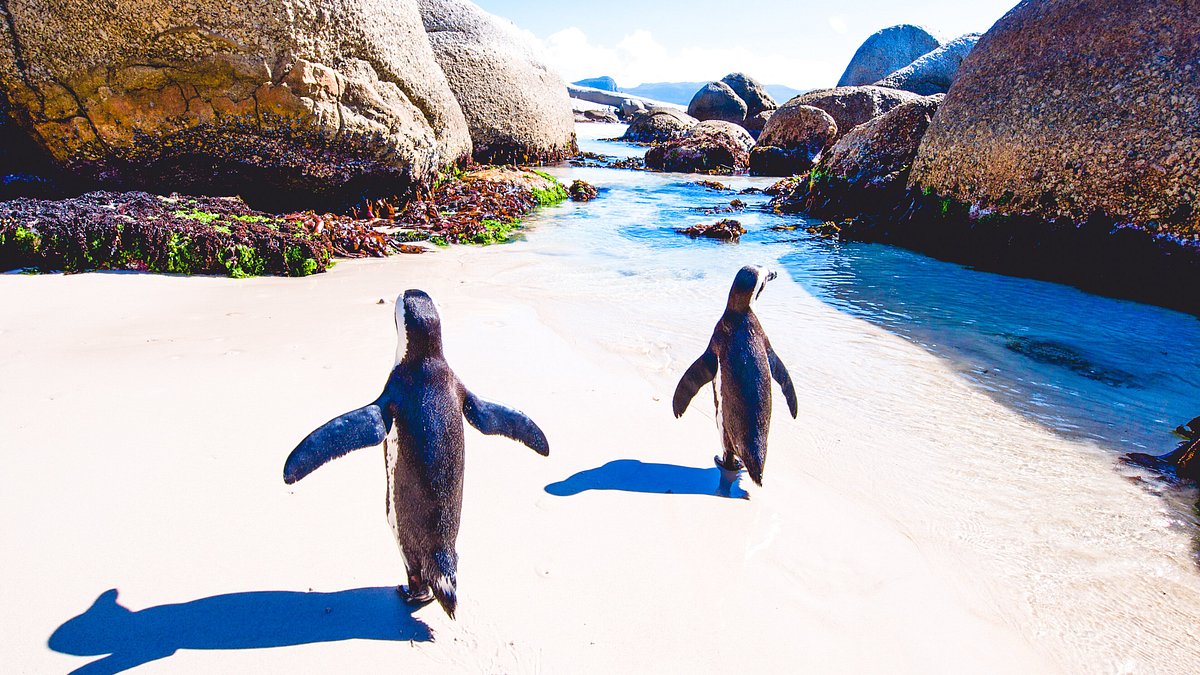 Cape Town coastal and urban landscape